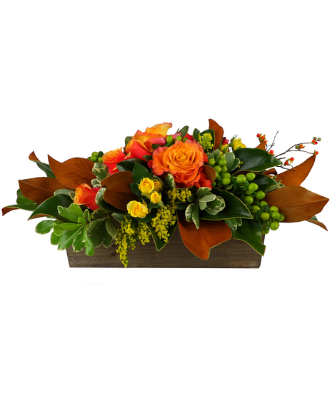 Autumn Homecoming