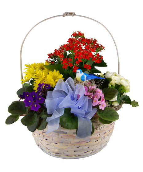 Blooming Basket