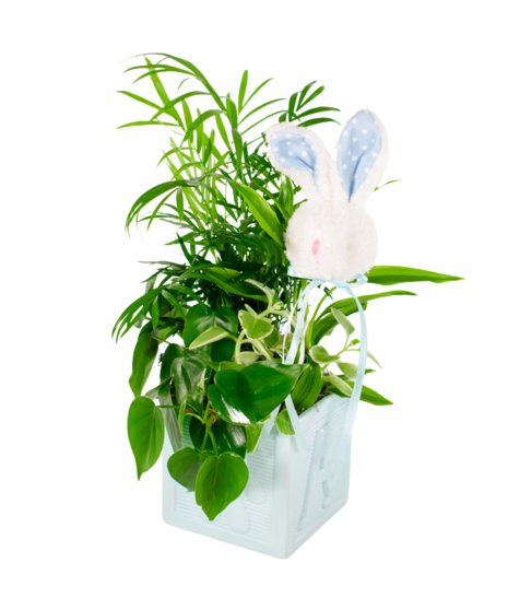 Baby Boy Planter