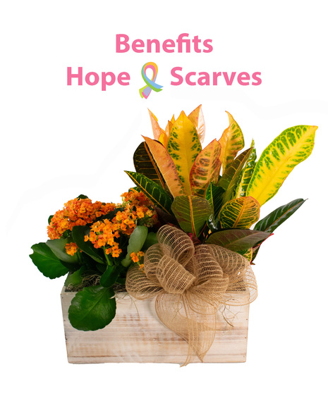 Flowering Plants