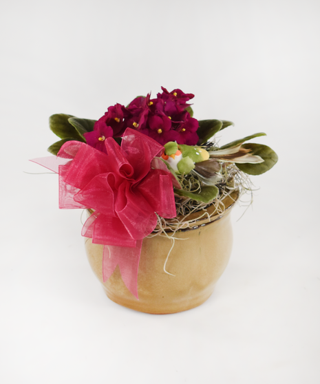 Violet Pot