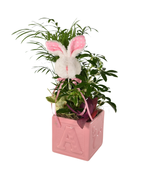 Baby Girl Planter