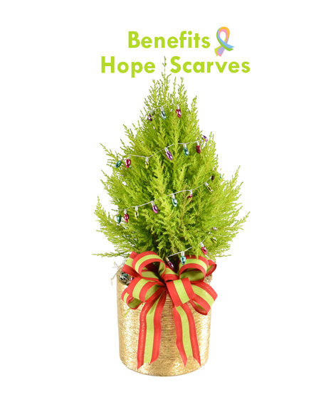 Holiday Lemon Pine