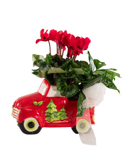 Holiday Tree Truck Planter