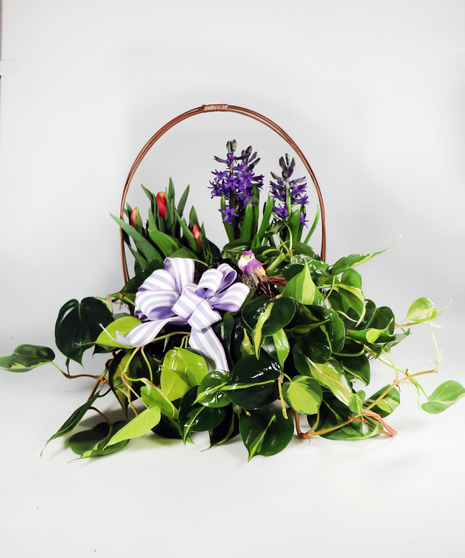 Spring is Near Garden Basket