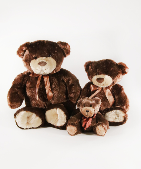 two teddy bears