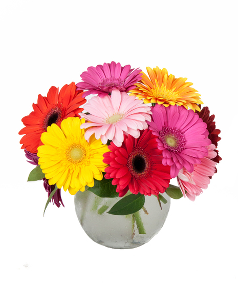 Mother's Day Flowers