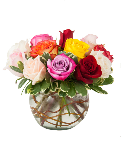 assorted color roses in a bubble bowl
