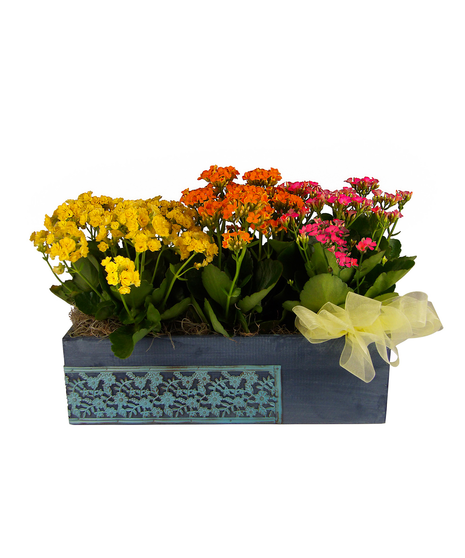 Birthday Flowers