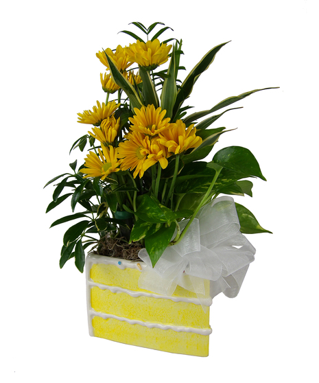 Birthday Flowers