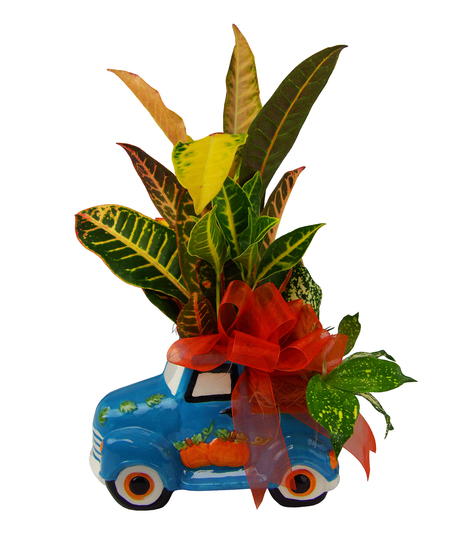 Pumpkin Patch Pick-Up Planter