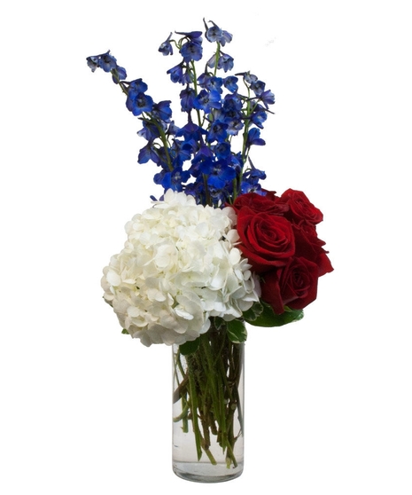 Star Spangled Beauty