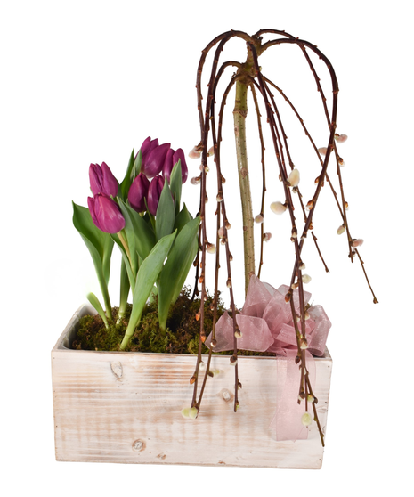 Spring Bulbs & Willow Combo