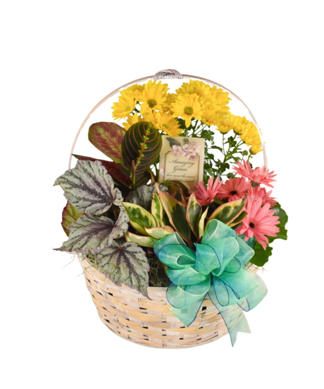 Flowering Plants