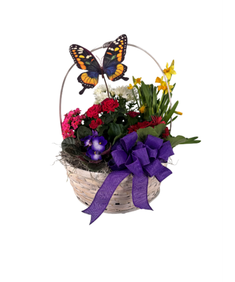 Bea's Blooming Basket