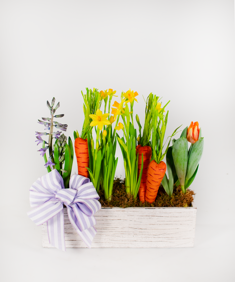 Spring Bulb Garden Box