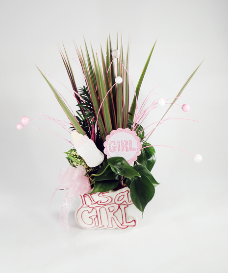 New Baby Gifts