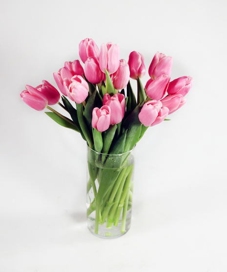 XOXO Tulips