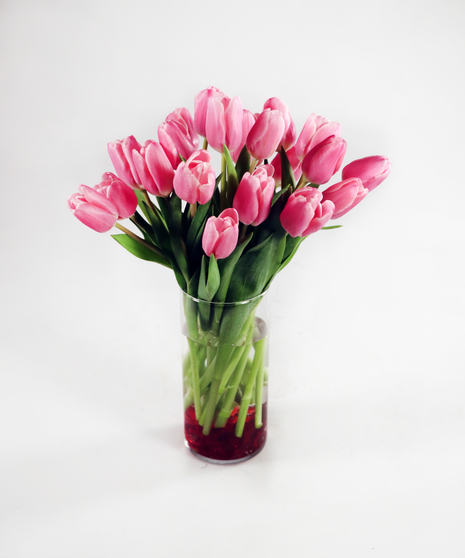 XOXO Tulips