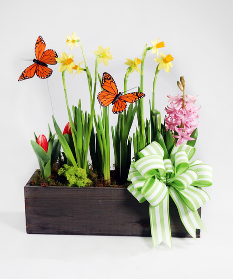 Spring Bulb Garden Box